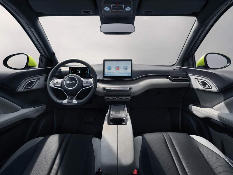 BYD Dolphin Surf