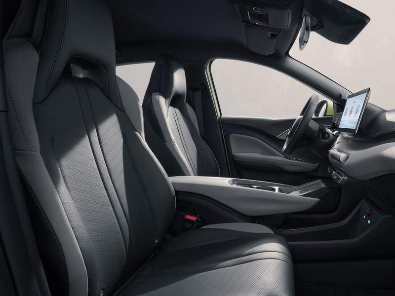 BYD Dolphin Surf